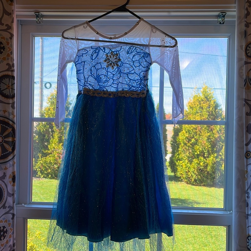 Frozen princess costume size 5 with accessories